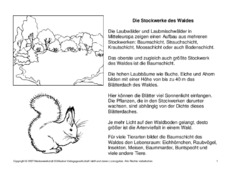Fehlerlesen-Stockwerke-des-Waldes-Lesetext-1-4-SW.pdf